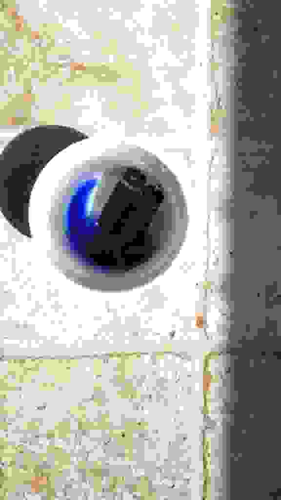 IMG-20210806-154100-193.jpg