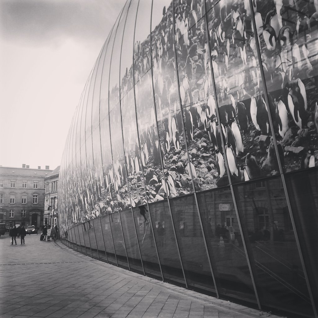 IMG-20160225-132544.jpg
